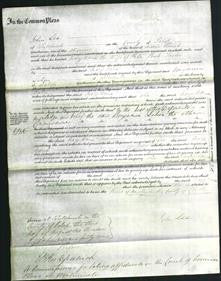 Court of Common Pleas - Mary Anne Taylor-Original Ancestry