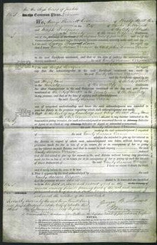 Court of Common Pleas - Emily Seacome Vernon-Original Ancestry