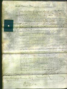 Court of Common Pleas - Mary Anne Evans Griffiths-Original Ancestry