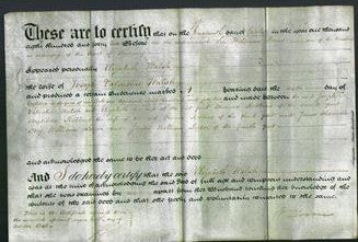 Deed by Married Women - Elizabeth Walsh-Original Ancestry