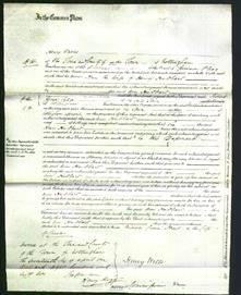 Court of Common Pleas - Ann Hubbert-Original Ancestry