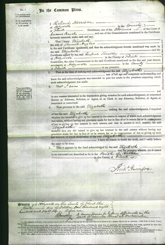 Court of Common Pleas - Elizabeth Hughes-Original Ancestry