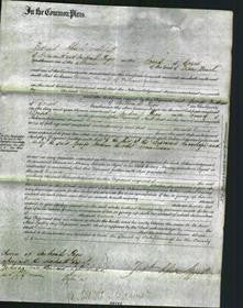 Court of Common Pleas - Emma Gelson-Original Ancestry