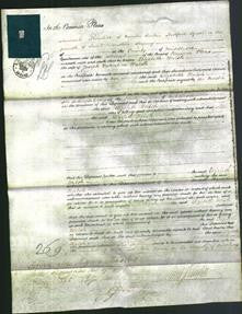 Court of Common Pleas - Elizabeth Walsh-Original Ancestry