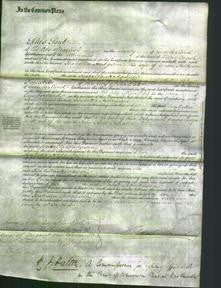 Court of Common Pleas - Isabella Hodgson-Original Ancestry