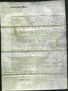 Court of Common Pleas - Eliza Spicer and Rebecca Upton-Original Ancestry