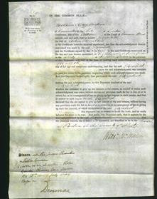 Court of Common Pleas - Elizabeth Hamilton-Original Ancestry