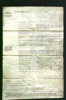 Court of Common Pleas - Elizabeth Woodger-Original Ancestry