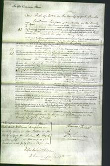 Court of Common Pleas - Ann Elizabeth Field-Original Ancestry