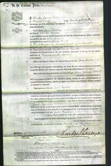 Court of Common Pleas - Jane Purdue-Original Ancestry