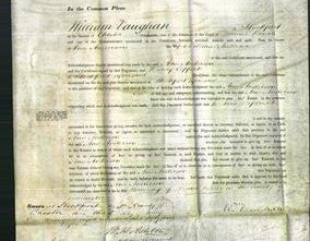 Court of Common Pleas - Ann Anderson-Original Ancestry