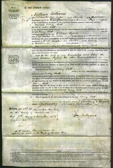 Court of Common Pleas - Mary Scott-Original Ancestry