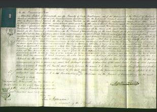 Court of Common Pleas - Sarah Garlick-Original Ancestry