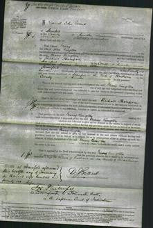 Court of Common Pleas - Mary Kington-Original Ancestry