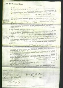 Court of Common Pleas - Thomazine Langdon-Original Ancestry