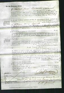 Court of Common Pleas - Frances Maria Blumberg-Original Ancestry