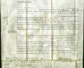 Court of Common Pleas - Anne Maria Hopkins-Original Ancestry