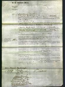 Court of Common Pleas - Maria Berry-Original Ancestry