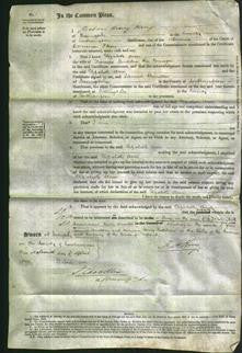 Court of Common Pleas - Elizabeth Ann Budden-Original Ancestry