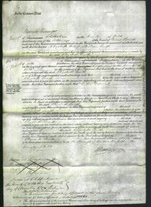 Court of Common Pleas - Elizabeth Smith-Original Ancestry