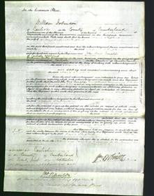 Court of Common Pleas - Maria Shepherd-Original Ancestry