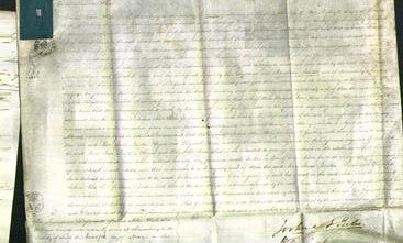Court of Common Pleas - Jane Jones, Martha Rogers and Elizabeth Jones-Original Ancestry