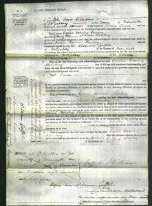 Court of Common Pleas - Cecilia Caroline Bunbury-Original Ancestry