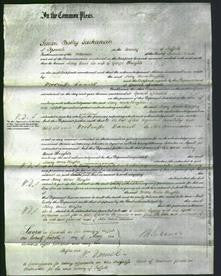 Court of Common Pleas - Mary Anne Knights-Original Ancestry