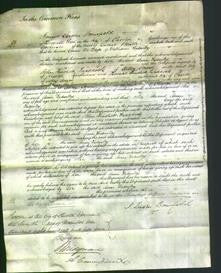 Court of Common Pleas - Ann Manley-Original Ancestry