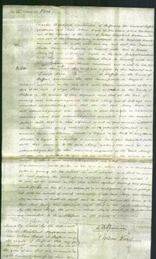 Court of Common Pleas - Mary Dyche-Original Ancestry