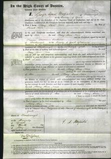 Court of Common Pleas - Mary Ann Ness-Original Ancestry