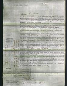 Court of Common Pleas - Mary Ann Gipson-Original Ancestry