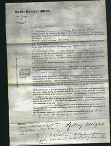 Court of Common Pleas - Catherine Martin-Original Ancestry