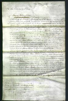Court of Common Pleas - Ann Harris-Original Ancestry