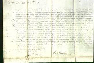 Court of Common Pleas - Mary Morten-Original Ancestry