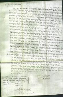 Court of Common Pleas - Martha Duggan-Original Ancestry