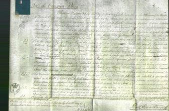 Court of Common Pleas - Susan Edwards-Original Ancestry