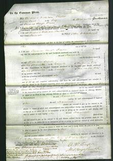 Court of Common Pleas - Hannah Whitehouse-Original Ancestry