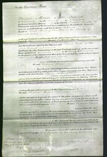 Court of Common Pleas - Susanna Harris-Original Ancestry