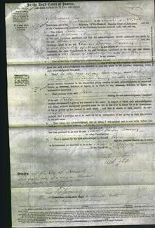 Court of Common Pleas - Hebe Young Page-Original Ancestry