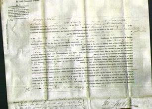 Court of Common Pleas - Ann Corbishley-Original Ancestry