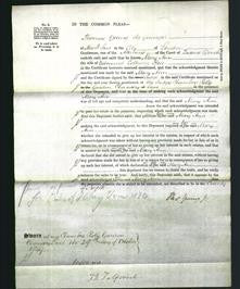 Court of Common Pleas - Mary Ann Rose-Original Ancestry