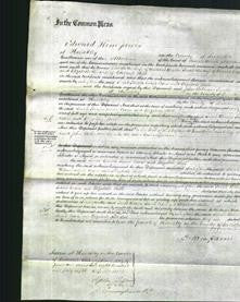 Court of Common Pleas - Sarah Brown, Sarah Coxen and Elizabeth Hill-Original Ancestry