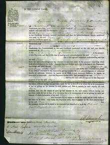 Court of Common Pleas - Eliza Mayhew-Original Ancestry