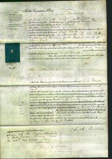 Court of Common Pleas - Sarah Coombs-Original Ancestry