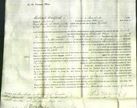 Court of Common Pleas - Elizabeth Gibson-Original Ancestry