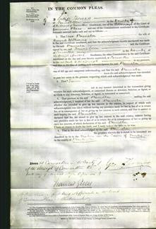 Court of Common Pleas - Pamela Williams-Original Ancestry