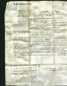 Court of Common Pleas - Elizabeth Phillips-Original Ancestry