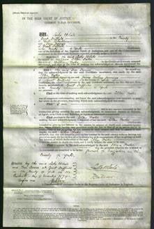 Court of Common Pleas - Ellen Foster-Original Ancestry