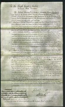 Court of Common Pleas - Emily Maria Miller, Ann Sarah Gallon and Esther Bean-Original Ancestry